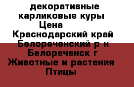декоративные карликовые куры › Цена ­ 350 - Краснодарский край, Белореченский р-н, Белореченск г. Животные и растения » Птицы   